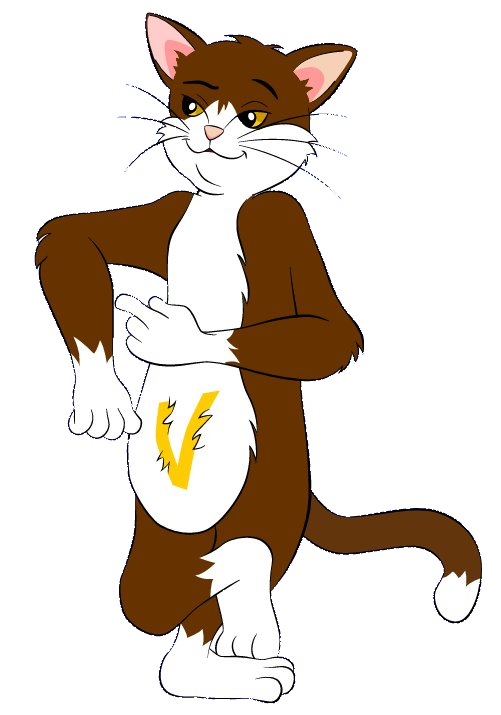 Mascotte VeraEnergy